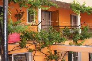 Гостевой дом «Мечта»