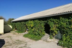 Комфортабельные номера, Оленевка