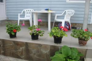 Гостевой дом на Королева, Коктебель