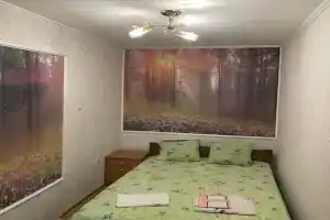 Комната в частном доме