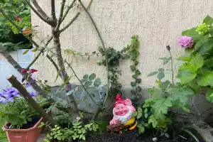 Гостевой дом «Уютный дворик», Симеиз