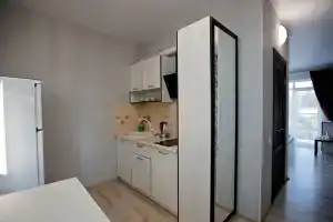 Двухместный номер с 1 кроватью студия