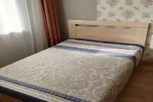 Уютная светлая квартира в пяти минутах от центра города