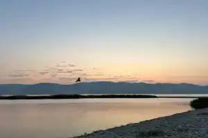 Квартира рядом с пляжем Алексино, Новороссийск