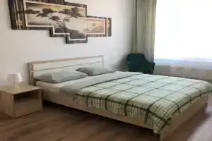 Квартира с видом на пруд, Екатеринбург