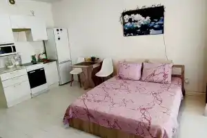 Квартира в Уфимском Кремле