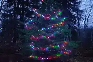 Частный дом «Морошка»