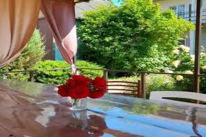 Гостевой дом «Тетушка Сова», Поповка