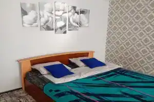 Квартира-эконом класса в центре.