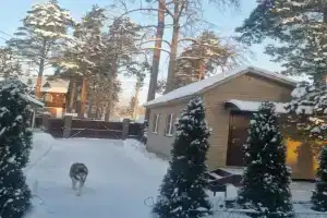 Частный дом, Дибуны