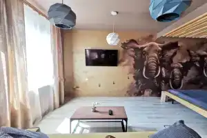 Safari, Санкт-Петербург