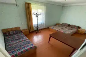 У тёти Шуры, Алахадзы