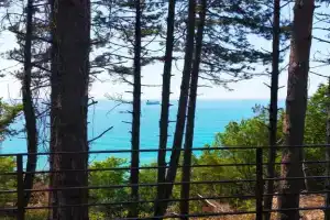 Коттедж с видом на море в сосновом лесу