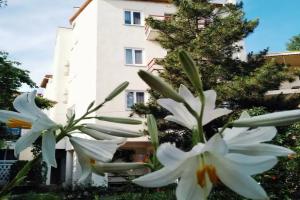 Прибрежное - Гостиницы