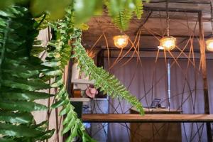 Гостиница «Капуцин», Ялта