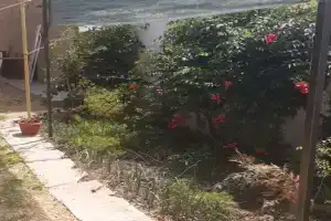 Мини-отель на Скугаря 21, Новофёдоровка