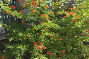 Гостиница «Любимый», Севастополь