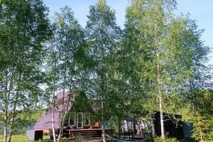 Дом с баней и чаном у леса