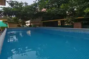 Гостевой дом «Жемчужина», Адлер