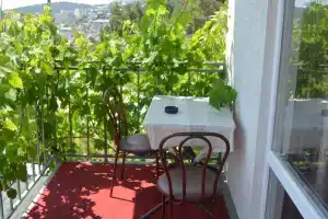 Гостевой дом «Глонтия», Новый Свет