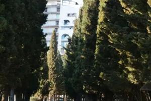 Гостевой дом «Крымский», Алушта