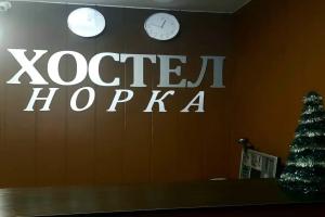 Капсульный Хостел «Норка», Новосибирск