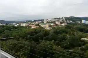 Студия, Сочи