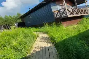 Домик в сосенках