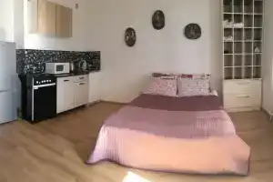 Студия Песочный рядом с НИИ им. Петрова, Гранова, Песочный