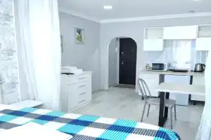 Уютная студия в центре города