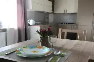 Уютная квартира около моря, Пионерский