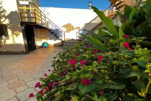 Гостевой дом «Семейный Отдых на Лиманной 45», Евпатория