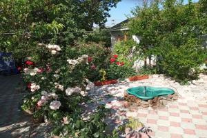 Гостевой дом «Солнышко», Алушта