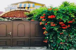 Гостевой дом «Пальма на Цветочной», Адлер