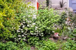 Гостевой дом «Зеленый Дворик», Морское