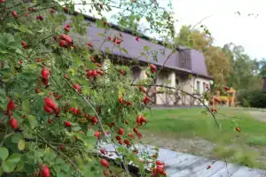 Гостиница «Дом Рыболова», Лесной