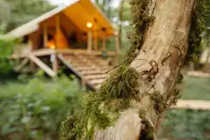 Глэмпинг «Лучшее Место»