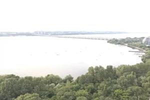 Видовая квартира рядом с парком, Воронеж