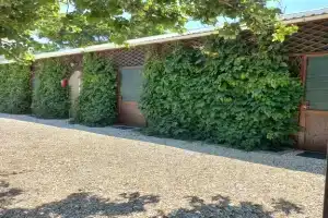 Мини-отель «Комфорт и отдых», Должанская