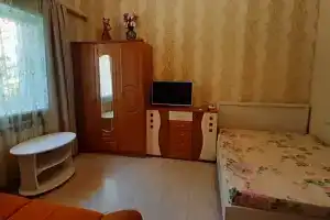 1-комнатная квартира в парке Фрунзе