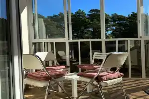 Квартира с видом на лес, Светлогорск