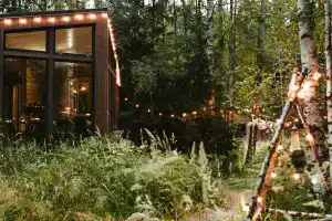 Уютный дом в лесу