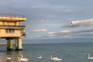 Дом в двух минутах от моря с песчаным пляжем и лебедями