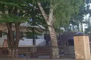Гостевой дом «Персей», Витязево