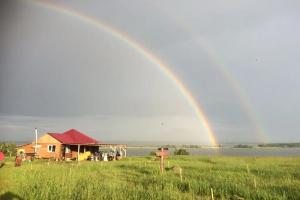 Гостиницы с новогодней программой 2026