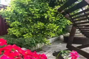 Мини-гостиница «Сказка», Голубицкая