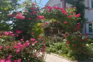 Вилла Лаура, Мирный