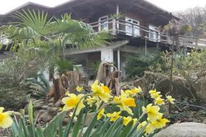 Гостевой дом «Дача», Волконка