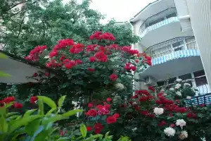 Гостевой дом «Вилла Парадиз», Алушта