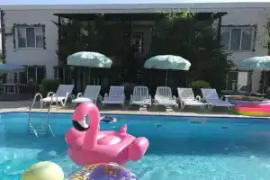 Усадьба Альпийский дворик